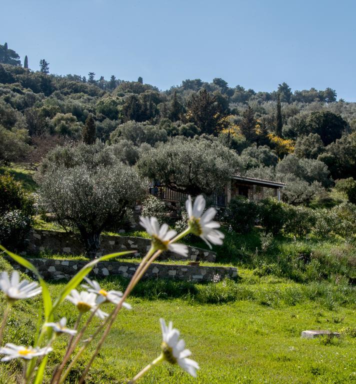 Villa Collina Vasilikos Exterior foto